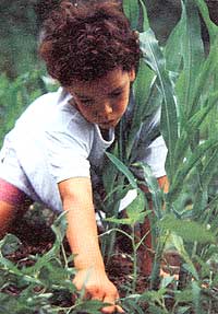 The profit motive inspired young Nate Stone.
